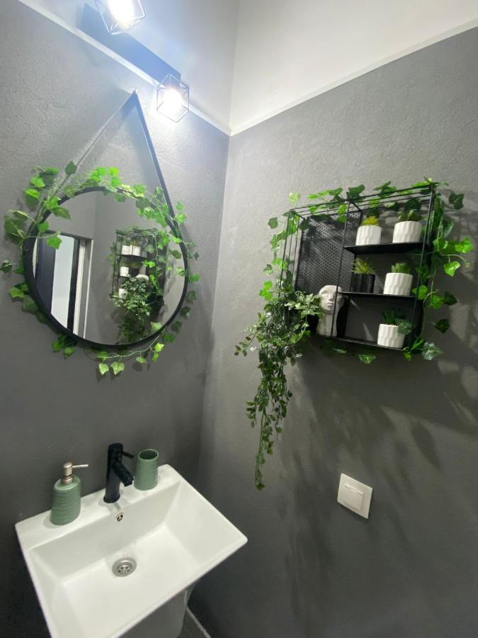 Green Vibes Central Brasov Braşov Exterior foto